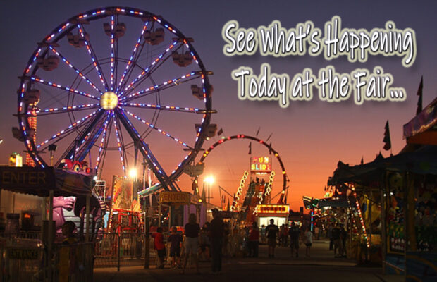 View the Daily Fair Schedules!